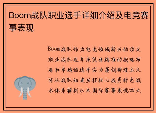 Boom战队职业选手详细介绍及电竞赛事表现